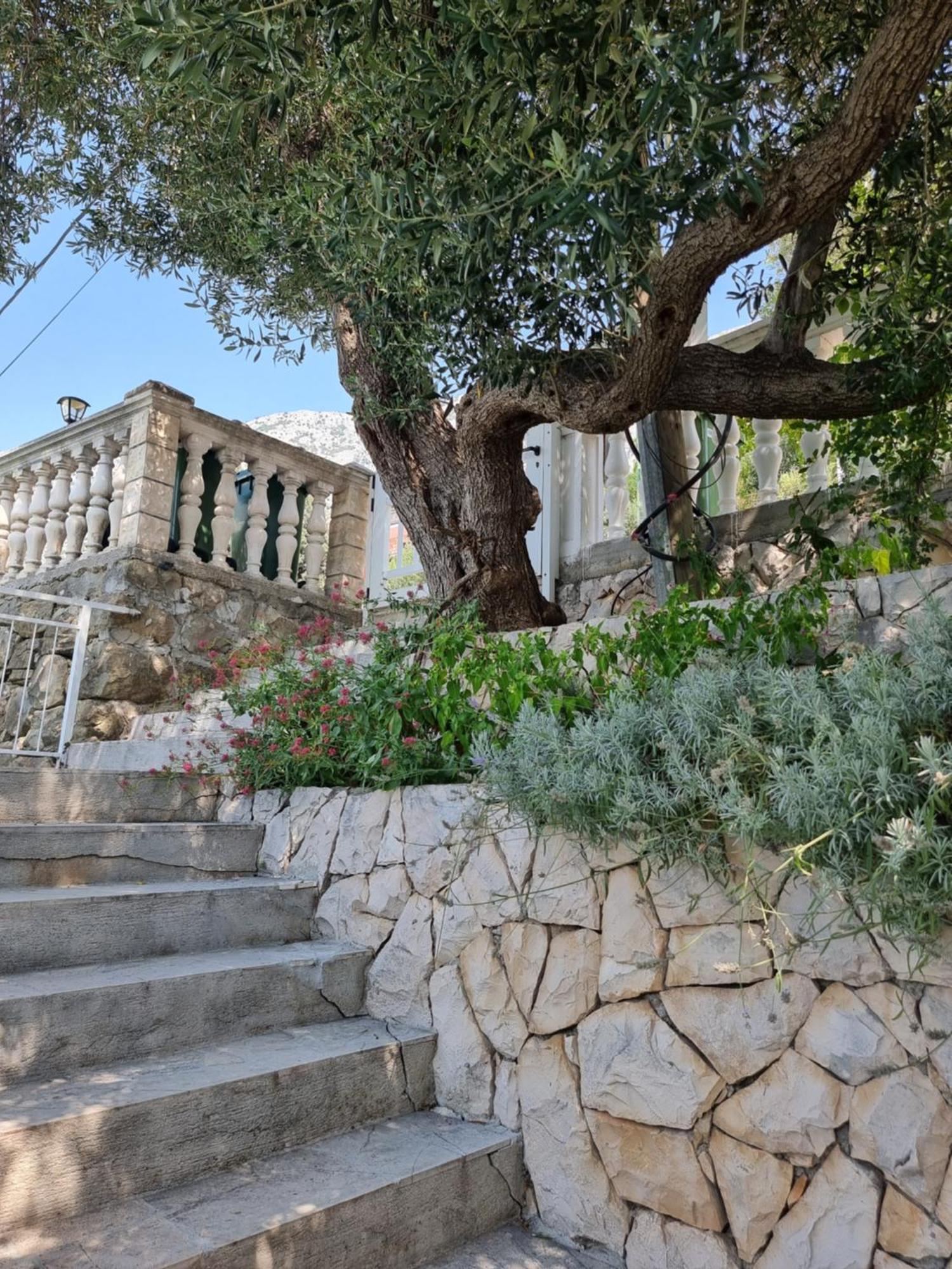 Apartmani Anda Živogošće Exterior foto